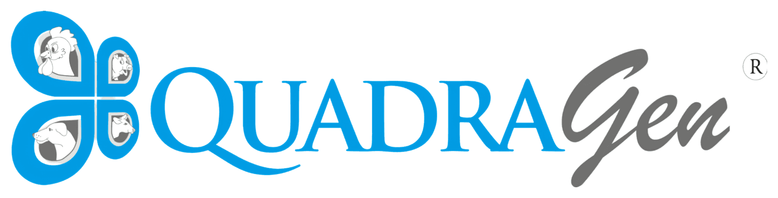QuadraGen